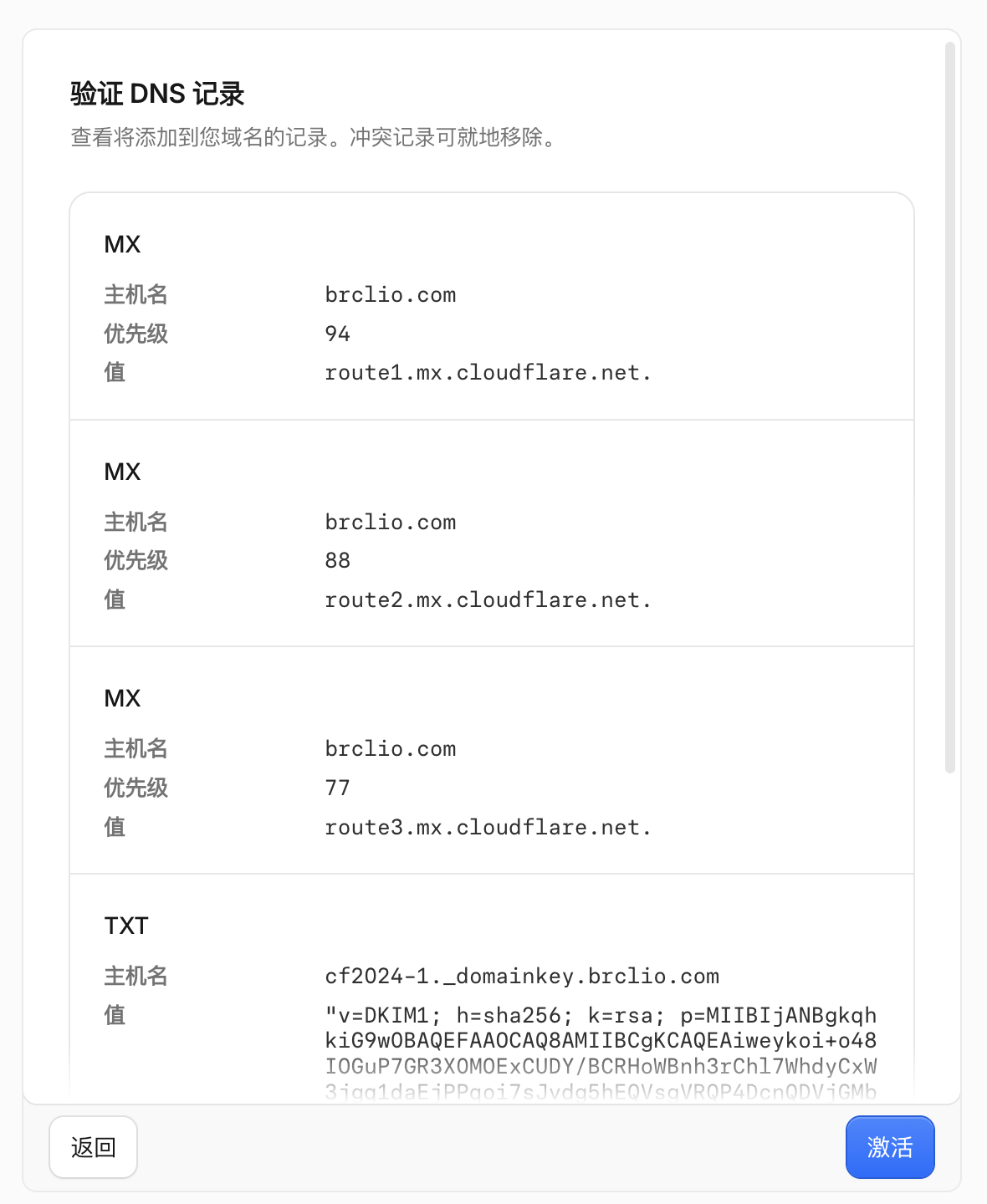 验证 DNS 记录界面展示 MX 服务器与 TXT DKIM 记录的预览